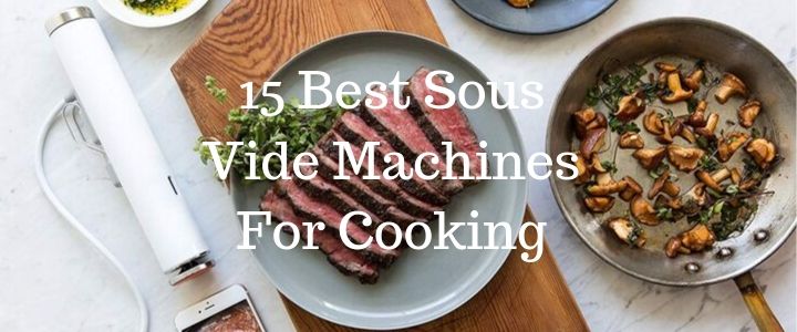 The 15 Best Sous Vide Machine For 2021